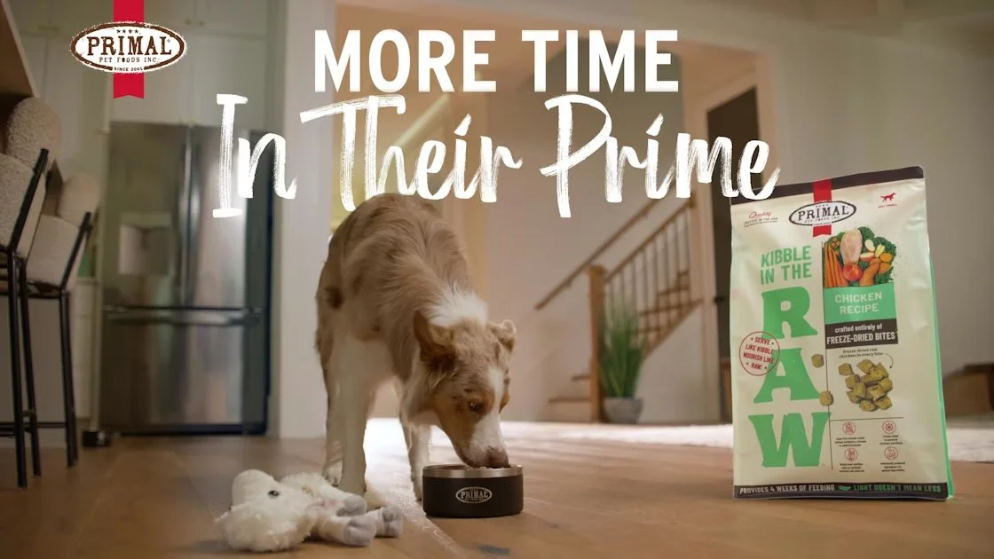 primal-pet-foods-little-lamby.qc0p5eTODJ.jpg