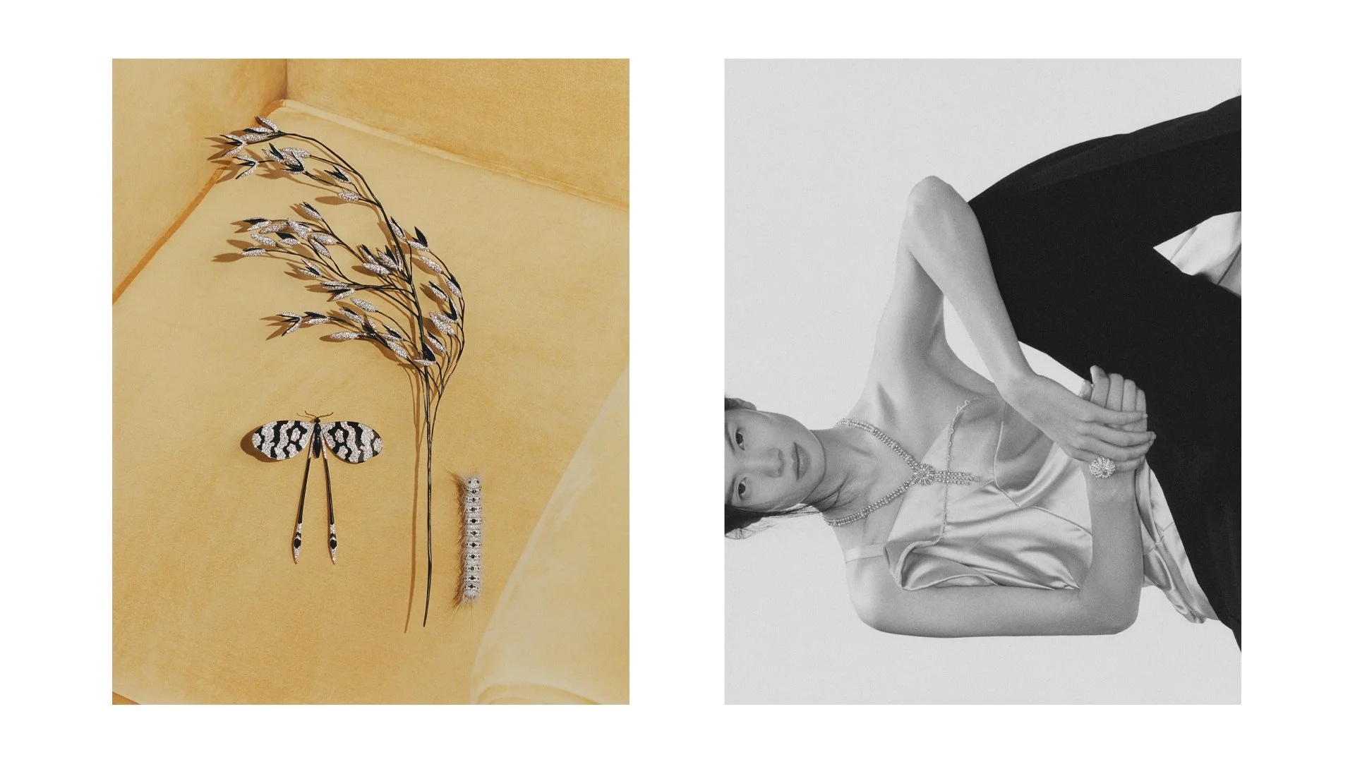 03 Matzo & Matzo Mate Moro.jpg