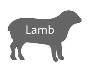 Buy Lamb