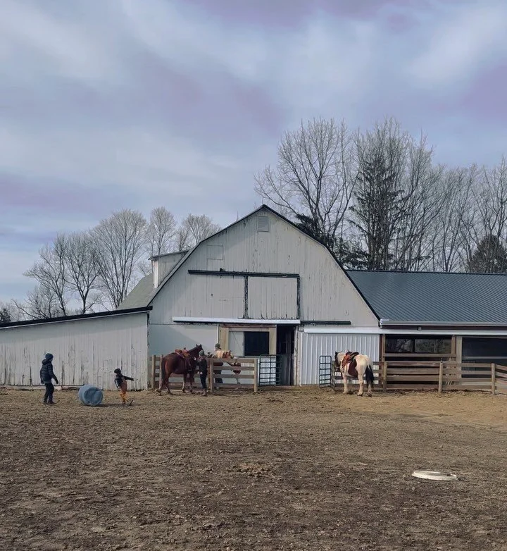 "In the spring, at the end of the day, you should smell like dirt." &mdash; Margaret Atwood

I think my kids take this quote to heart 😄

www.db-farms.com

#DBfarms #farmhorses #horsemanship #familyagriculture #sheepfarming #beeffarming #fa