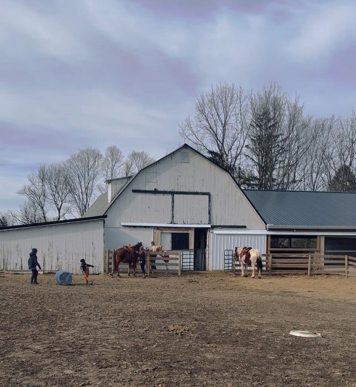 &quot;In the spring, at the end of the day, you should smell like dirt.&quot; &mdash; Margaret Atwood

I think my kids take this quote to heart 😄

www.db-farms.com

#DBfarms #farmhorses #horsemanship #familyagriculture #sheepfarming #beeffarming #fa