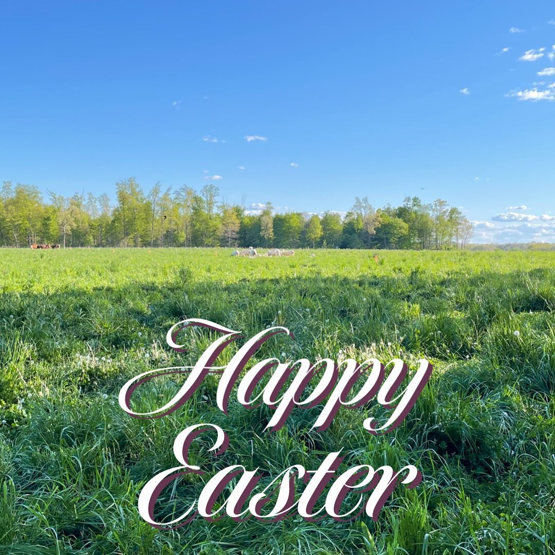 Wishing all of our family and friends a happy Easter!

#DBfarms #easteronthefarm #farmpics #easter2023🐣🐇