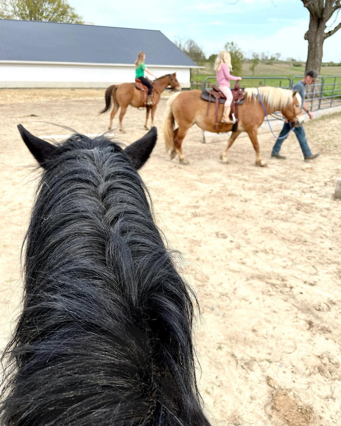 &ldquo;I can make a General in five minutes, but a good horse is hard to replace&rdquo; &mdash; Abraham Lincoln&nbsp; 

My favorite seat on the farm ❤️ Whiskey has the softest eyes and best personality. He&rsquo;s agreeable, always willing to work, s