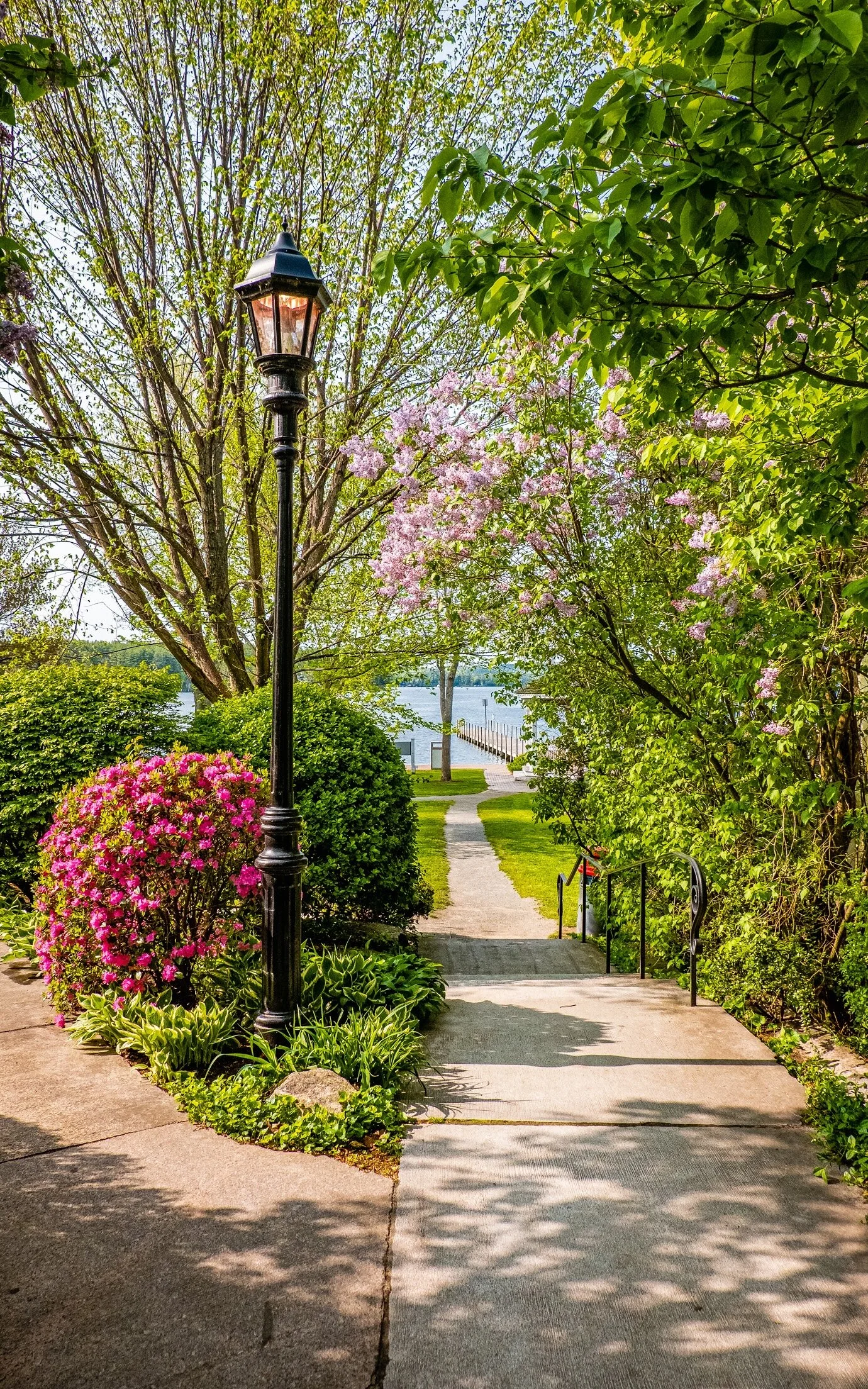 Entering Town Park.JPG