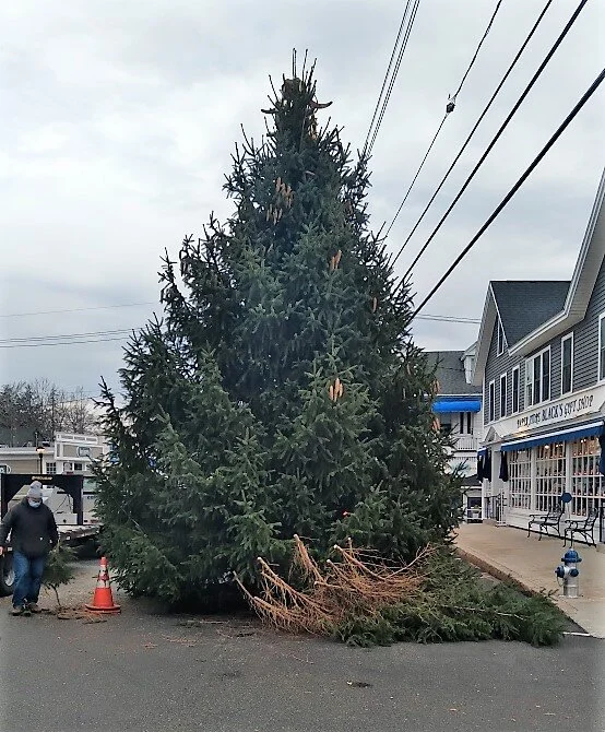 Christmas in Wolfeboro