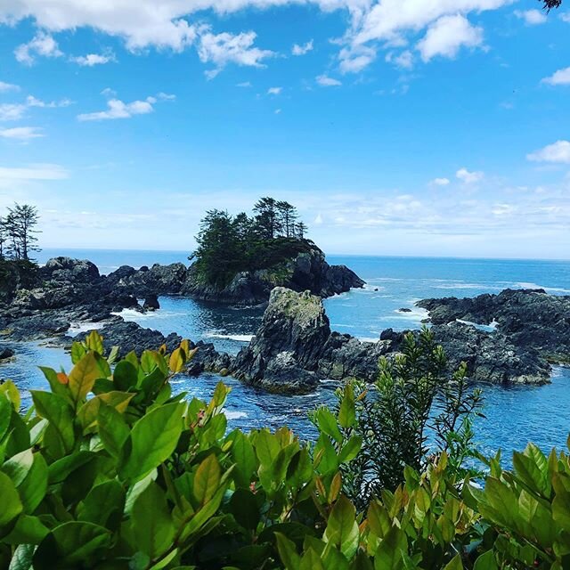 Still one of my favourite walks in the world @wildpacifictrail 
It&rsquo;s seems surreal sometimes to me how truly beautiful this province of ours is.
.
.
.
#wildpacifictrail #tofino #goplayoutside #uclulet #beautifulbc #naturewalks🌿