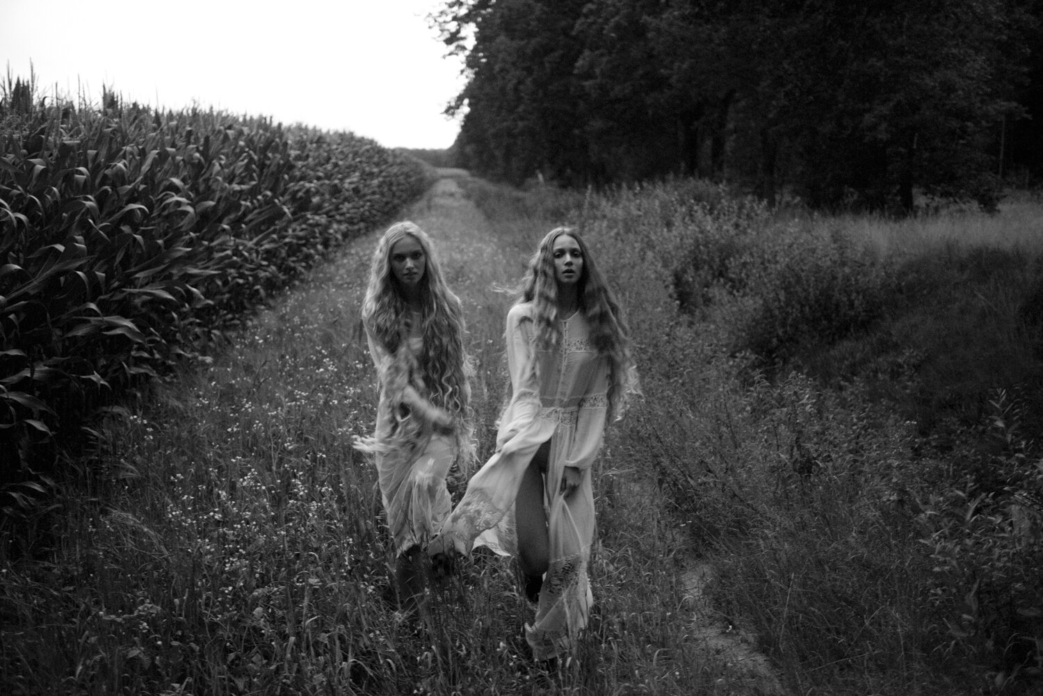 _DSC6672-2 small.jpg