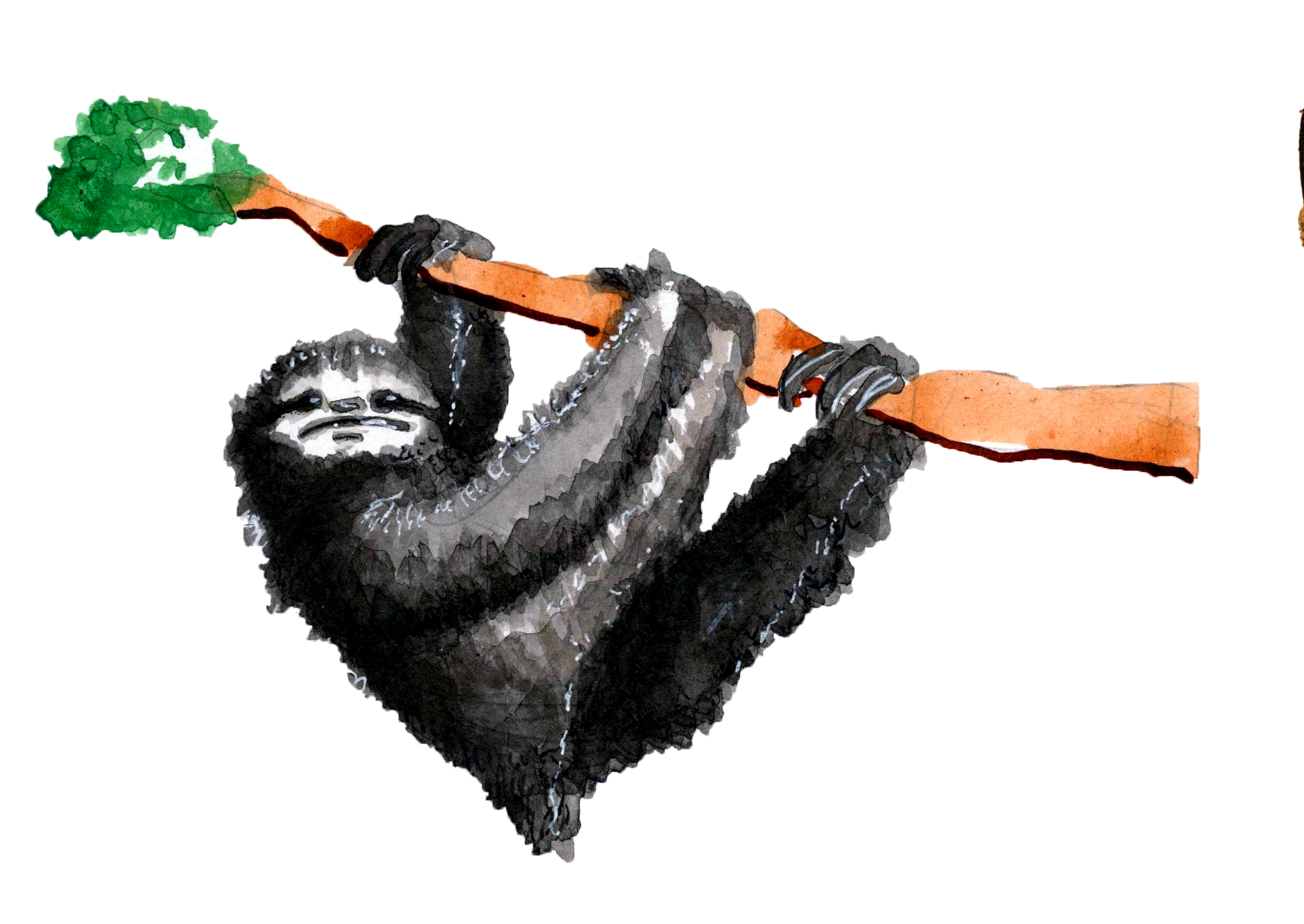sloth2a.png