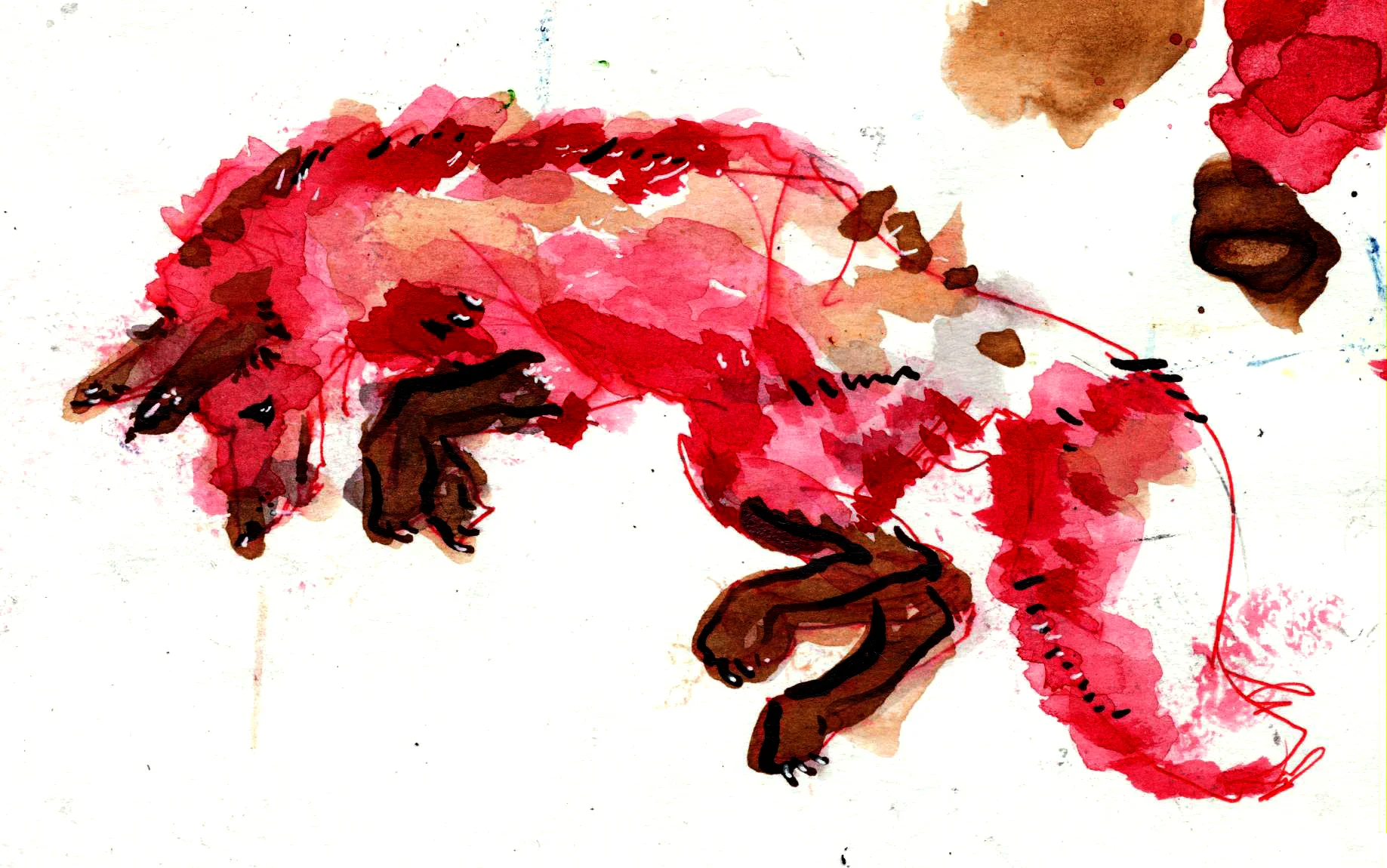 fox 001.jpg