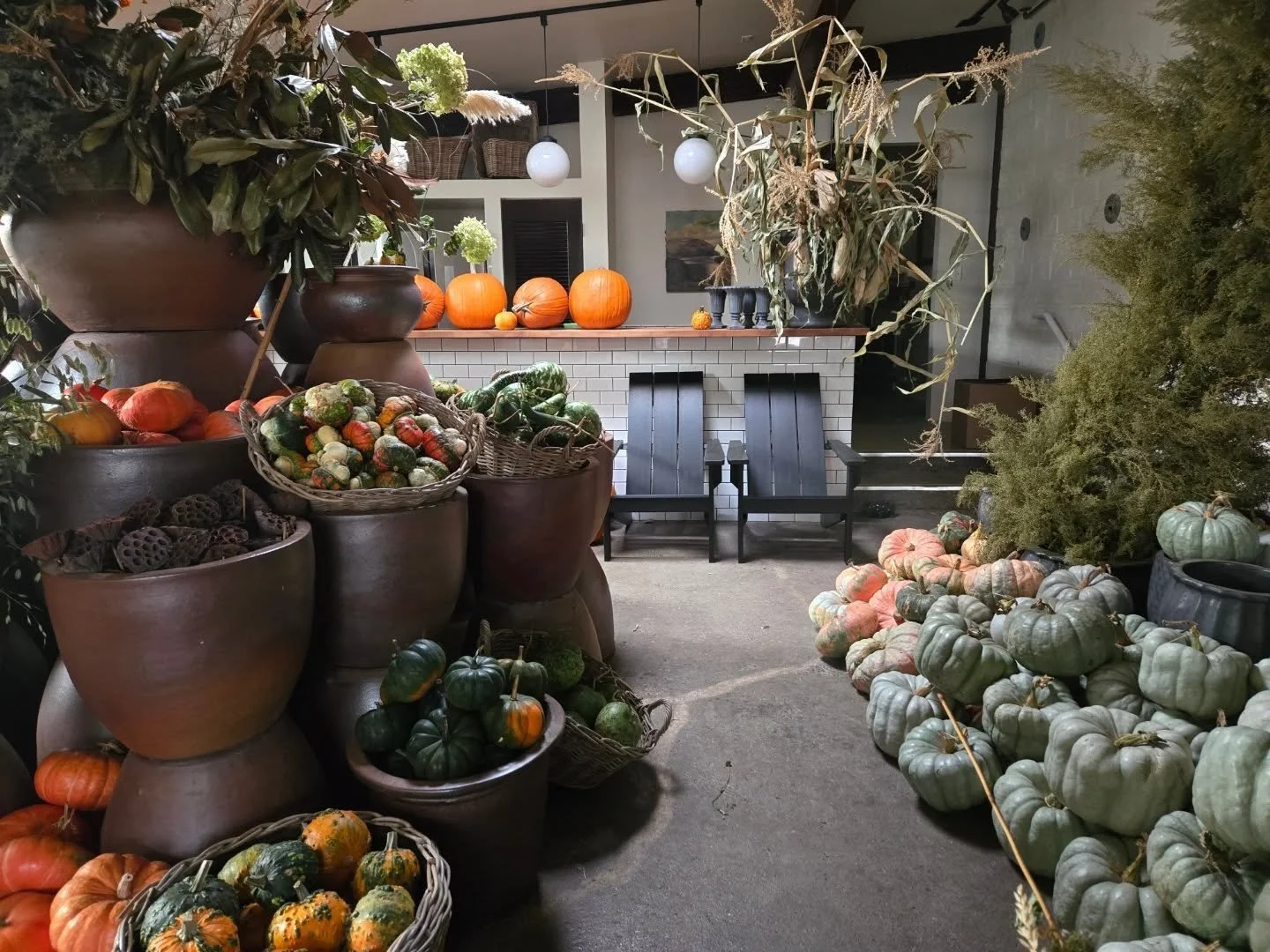 Been moving all the good shit to the warehouse for our no pumpkin left behind sale this Saturday 9 til 1 640 N Page st

So much good shit, come shop all things fall and stay dry which is cute

Have a joy day, Dad