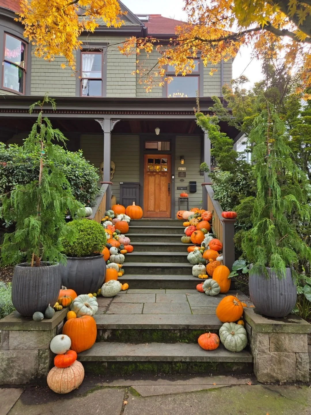 Happy Halloween cuties

Russell is open Saturday 9 til 1. Pottety is 30% off and sale of 50% off select plants that need a good home

We are packing in the winter plants and lets gossip the next fab look for your porch

Thanks the suppoet always and 