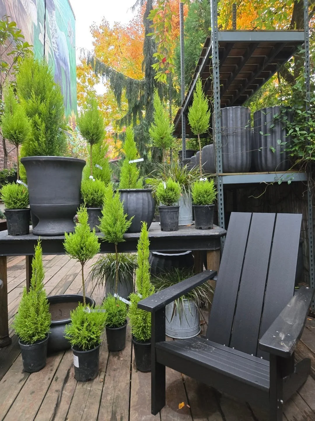 Open today a little after 9, come get that golden ticket

Pottery 30% off ans select plants 50% off

Come give the big grey girl a hug, chat how absolutely rad this city is with this food rally for snap 

Always appreciaze your support, dad