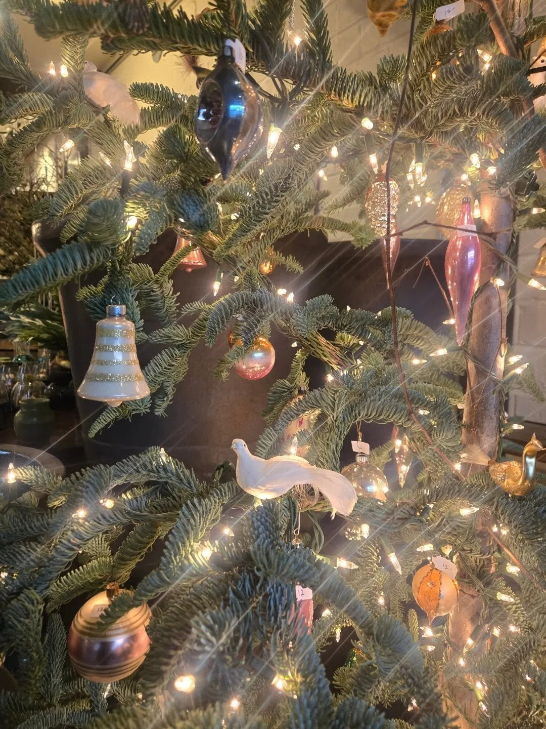 We are open today Wednesday 10 til 4 640 N Page St 

Xo dad