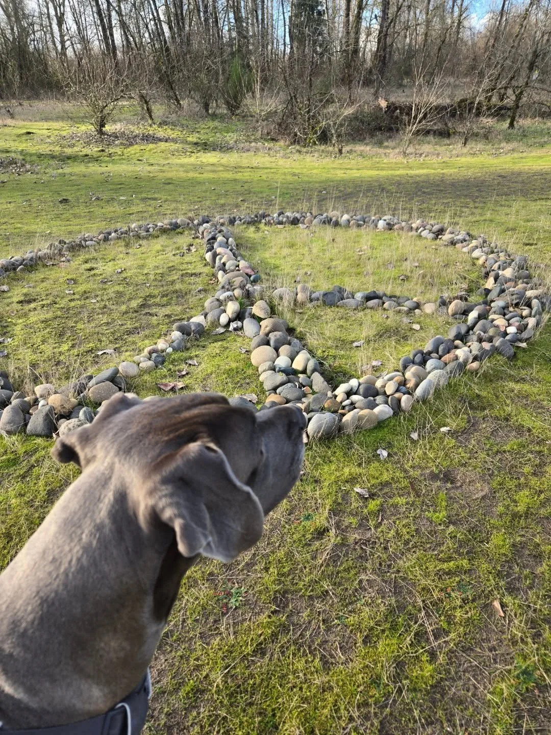 Beauty and inner peace are important

Starting conversations over here with a few of our favorites.  How can we help ourselves abd you all this year to surround yourself with all things pretty

A healthy version of self medicating

Hugs to you all da
