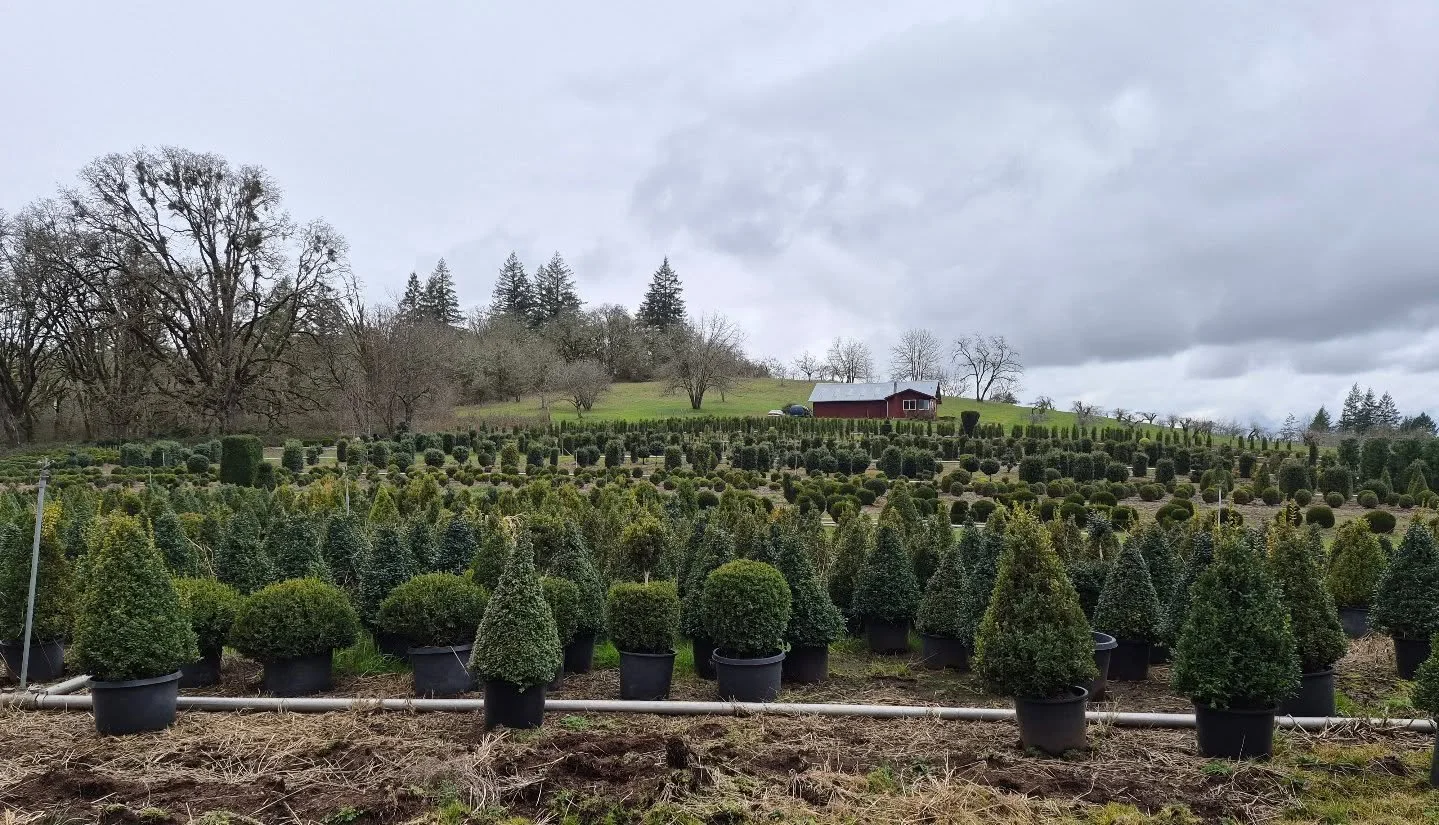 Oregon is insane what we grow. Its just amazing how many of the very best farmers/artists in the country are our neighbors and how much of their perfection is shipped all over the country

Today we took a little trip to see some of my favorite humans