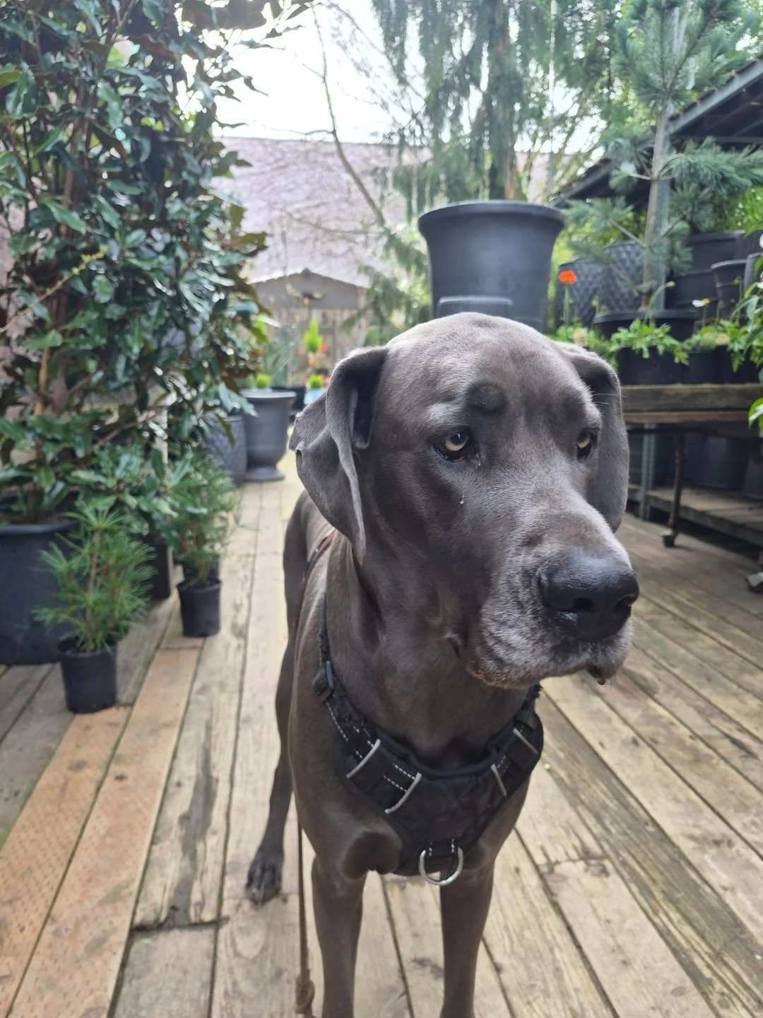 Here for hugs and f bombs til 1 today

Hugs dad and Lily