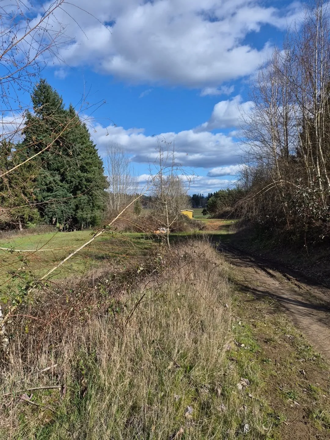 Dads go to mind fuck is dreaming about running far far away always. The last few years extra challenging giving our current government situation, do I want to continue to live in the US anymore. This kinda thought process has fucked my ass many days 