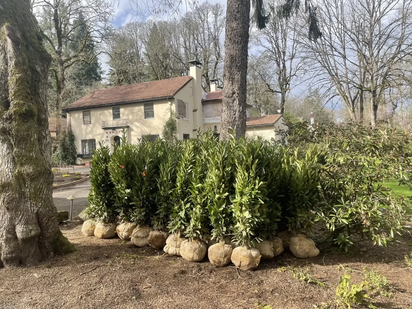 Out delivering garden dreams all day every day. We sure love making the world more prettier, its a honor

Thank you to this bad ass community for all the opportunity 

Have a joy week and see your sweet assessment this Saturday 10 til 1
Xo dad