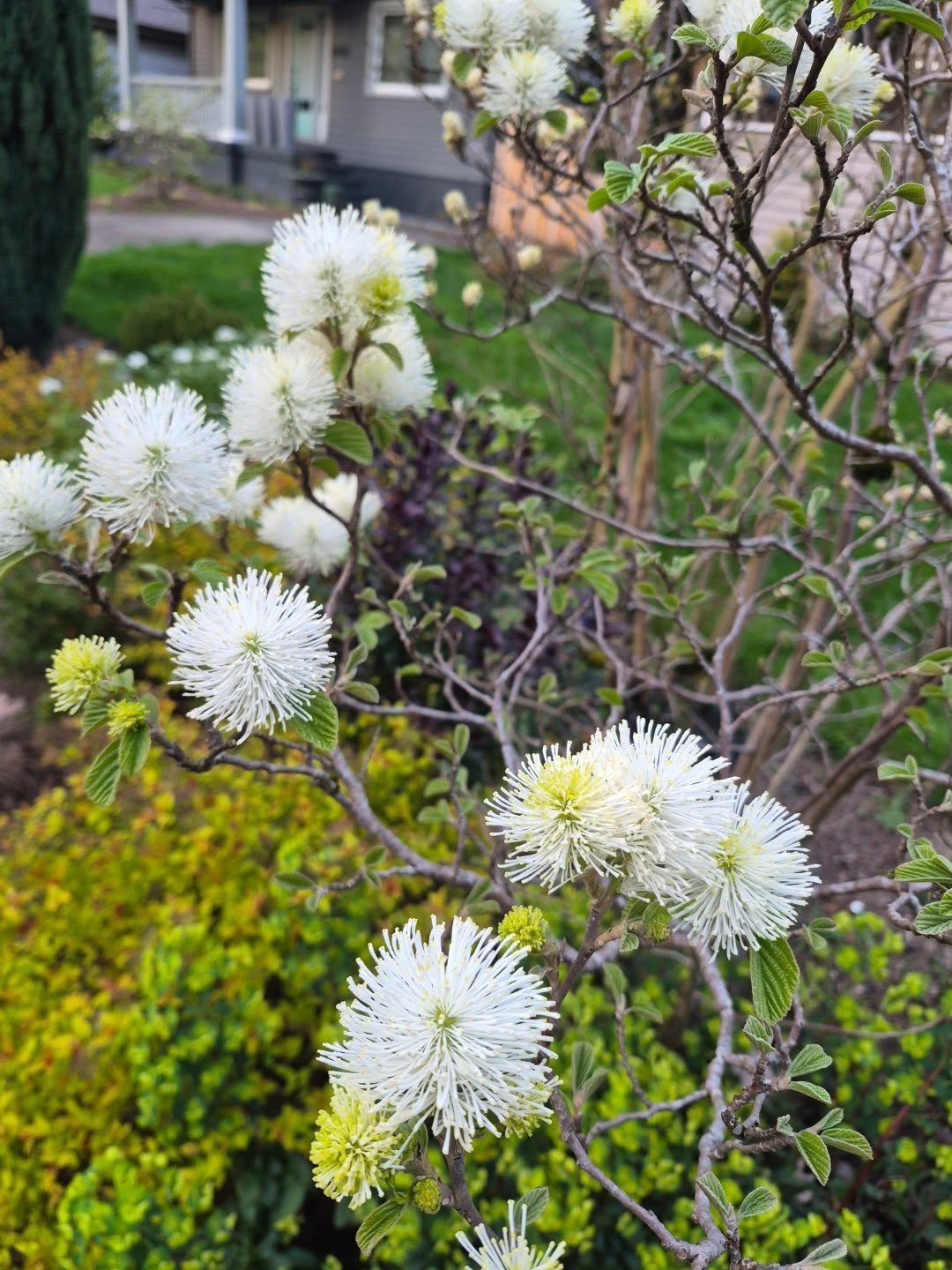 This queen right here is a favorite.

We have some sexy projects coming up and just plain need some extra support for a month or 6 weeks. If you're rad who knows how shit could shake out. Feels like this community is hungry for pretty spaces and hopi