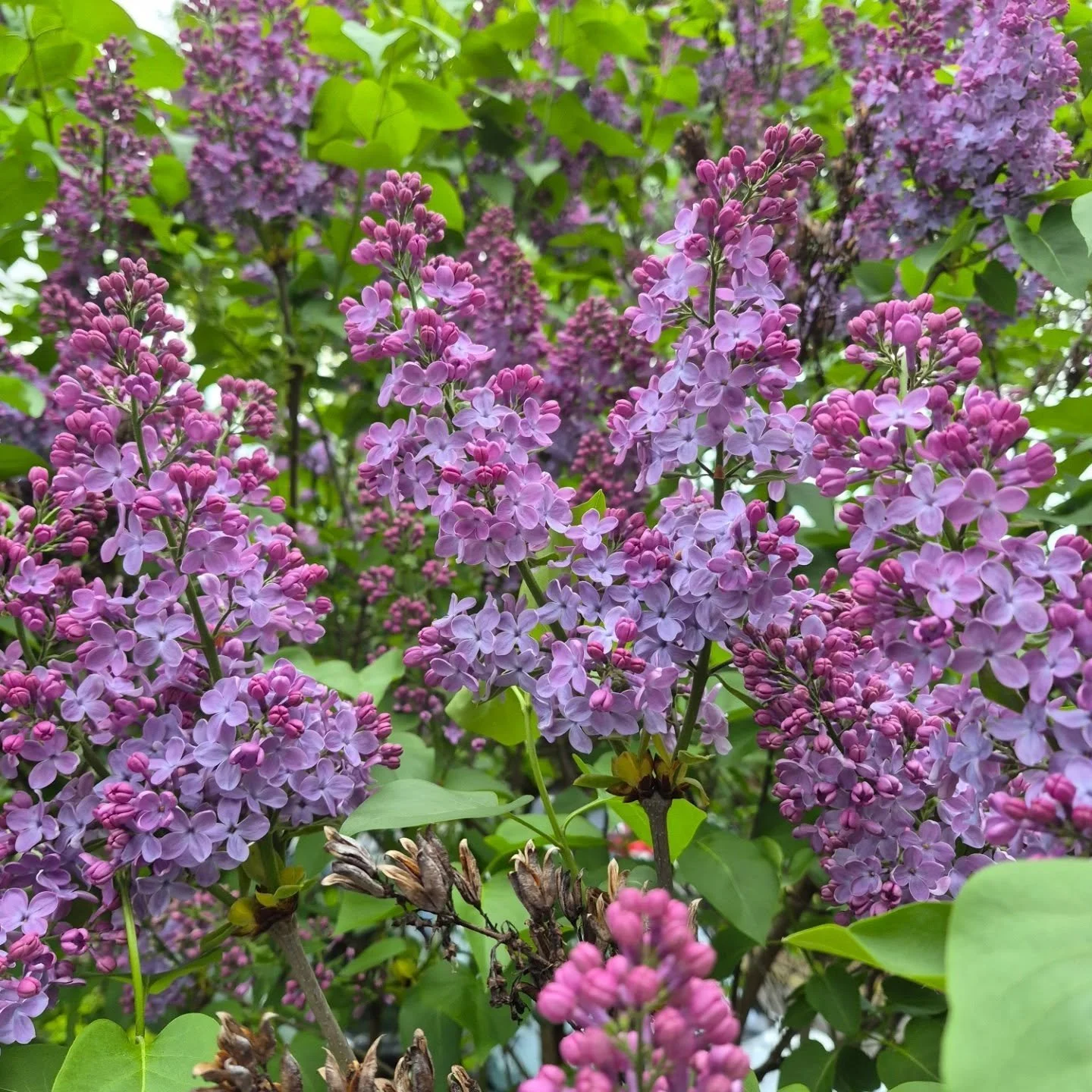 See you beautiful humans Sunday 9 til 1

Portland you're kinda stunning this spring, we're pretty dann fortunate to call this funny little city home

Always appreciate you
Dad