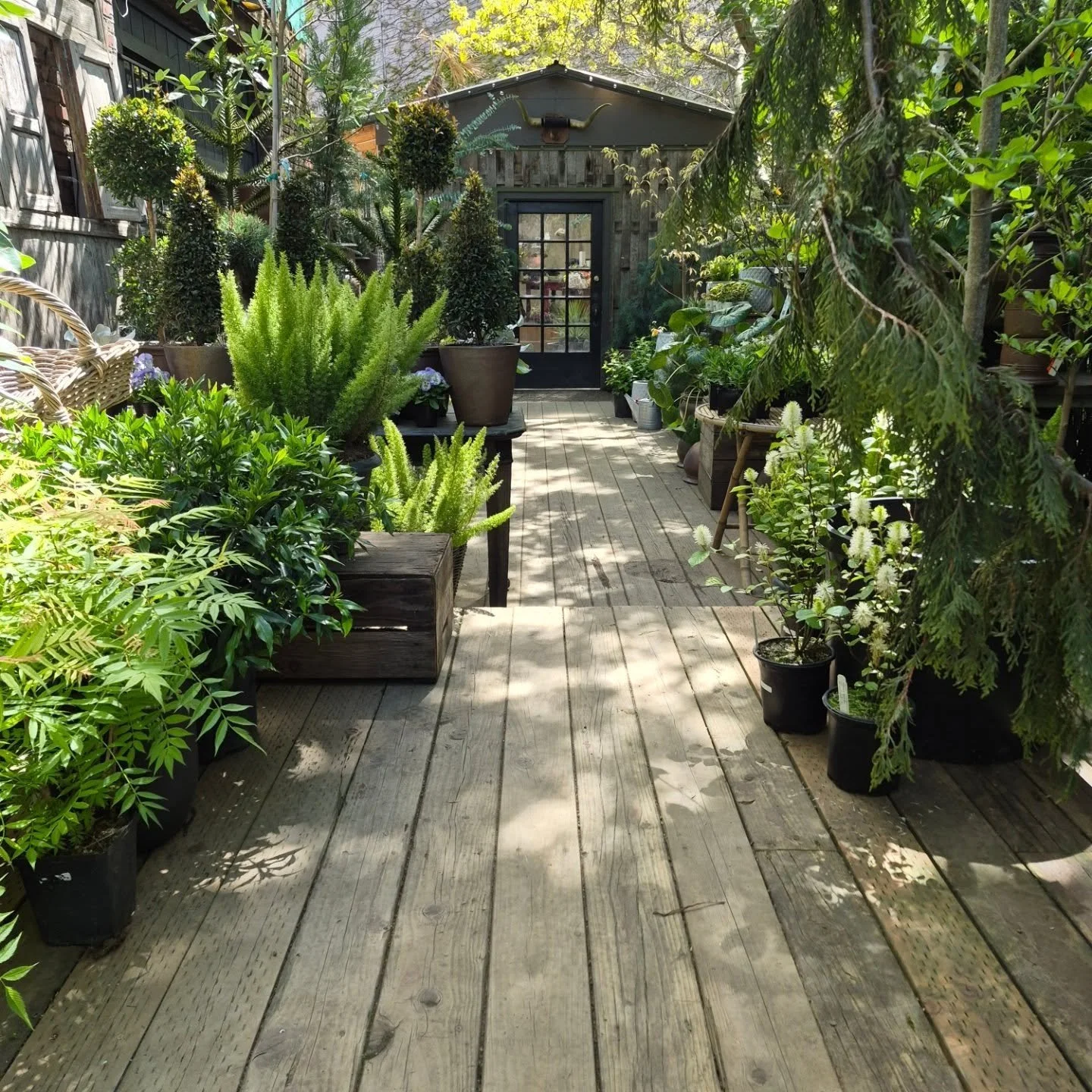 Hello beautiful humans.  Its becoming more obvious to us that we need to focus this year on our garden design and install portion of this business, thanks for kicking our asses 

We are shifting our retail to special events and open one weekend a mon