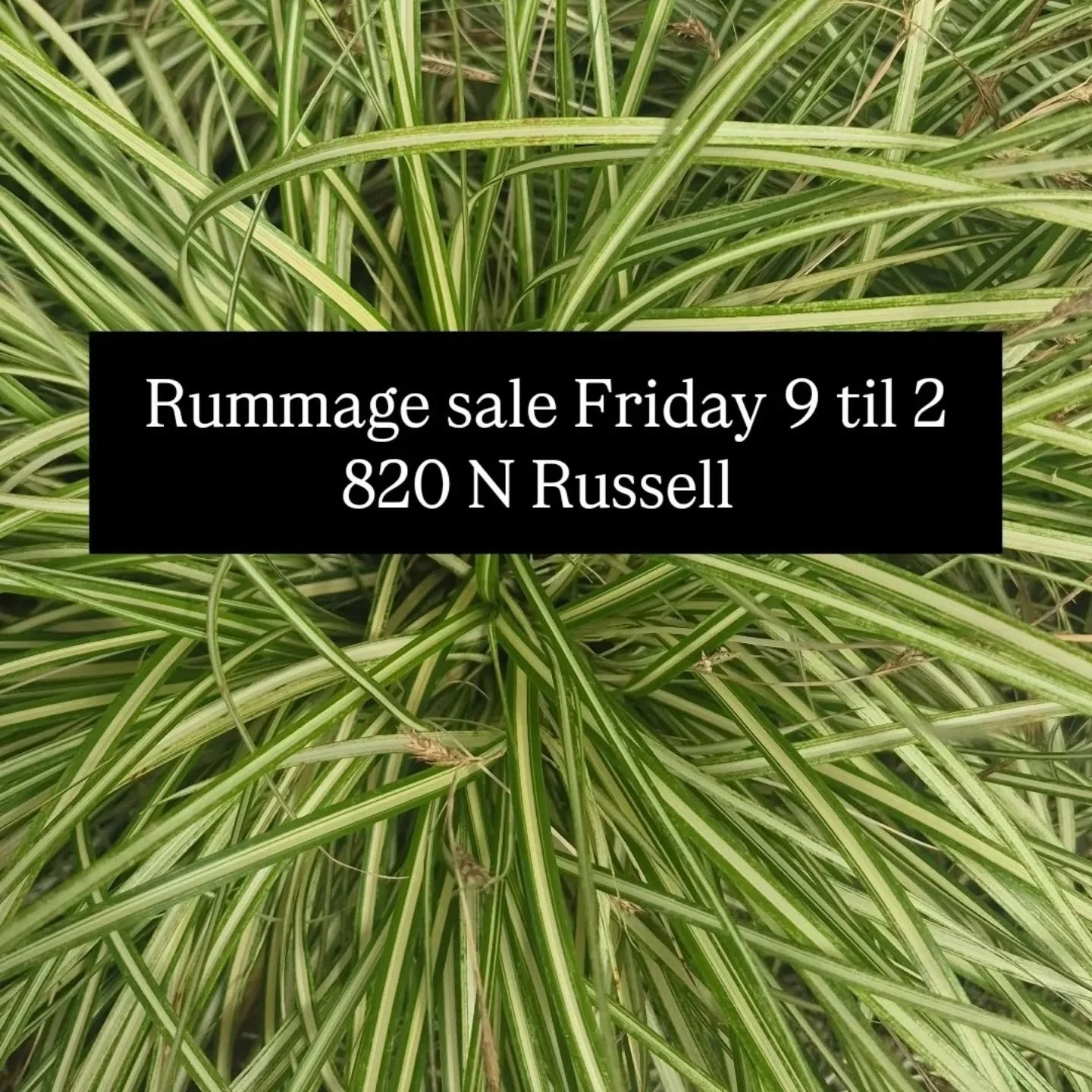 Vintage holiday art pottery random bullshit, odds and ends, some furniture and plants 25% off

We love a good purge and you're gonna get fabulous deals on good taste 

Xo dad