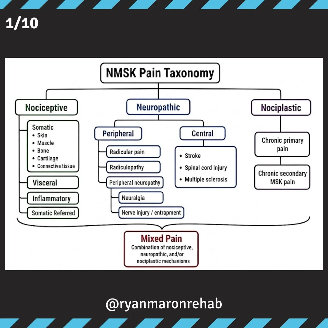 The neuromusculoskeletal pain taxonomy.

#physicaltherapy #physiotherapy #strengthandconditioning #performancetherapy #sportsmedicine