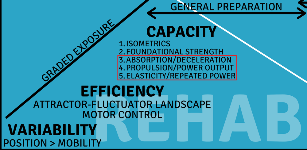 Part 1/2: Return to Sport Progressions – A Guide to Plyometrics for ...