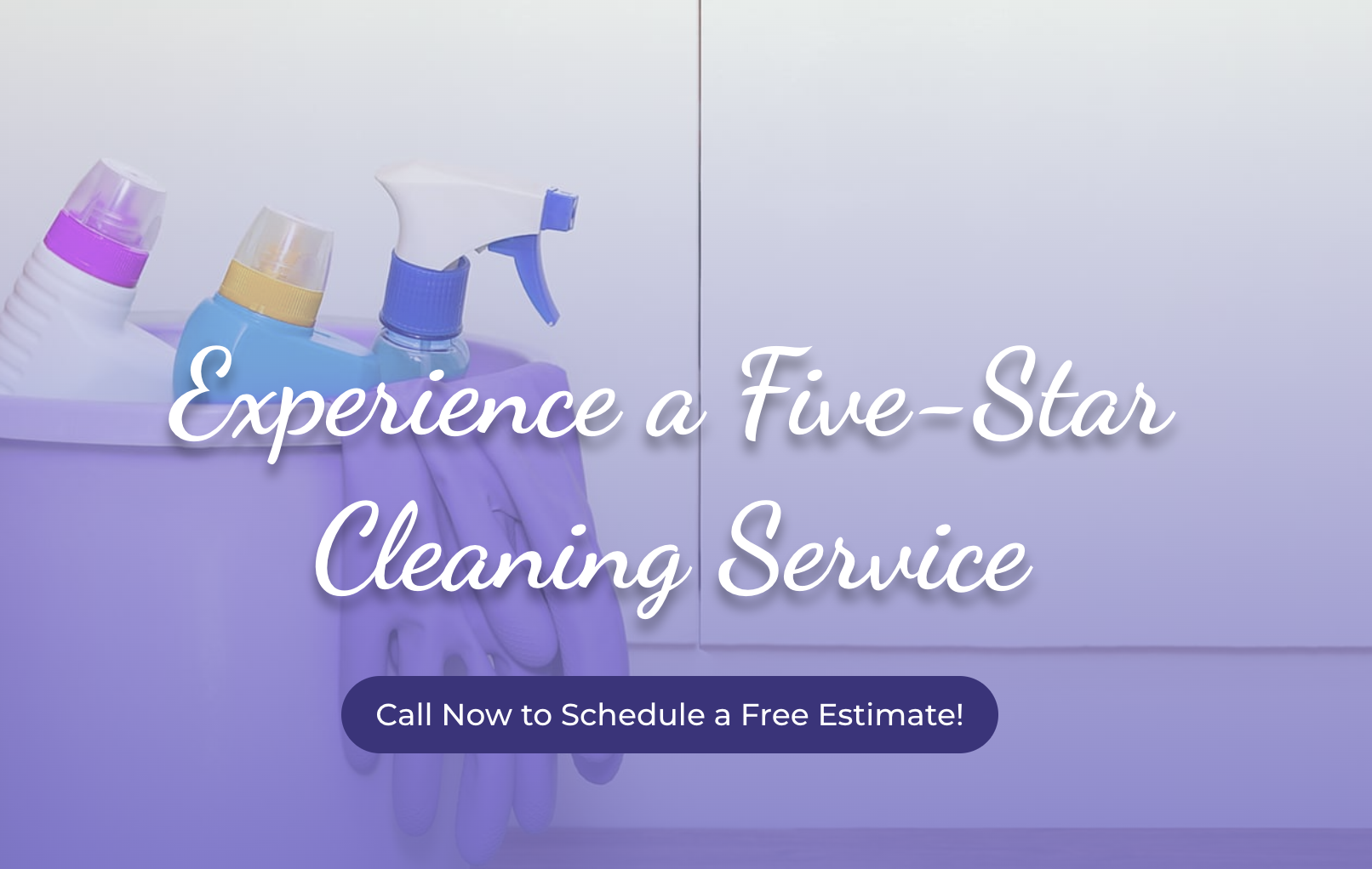 Yanivet Cleaning Services