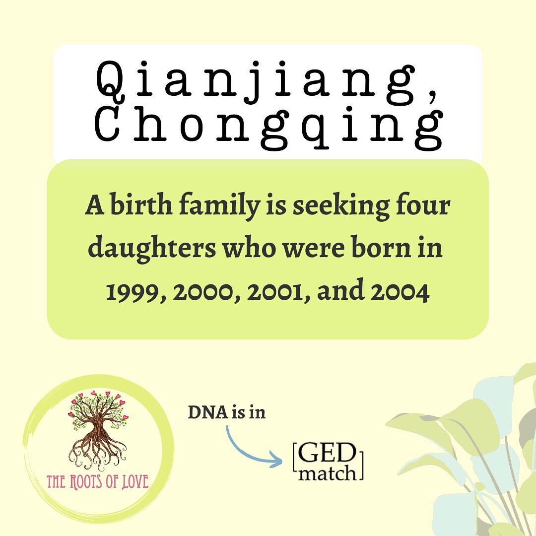 A birth family we&rsquo;re working with is looking for multiple children. Their four daughters were reportedly born in Qianjiang, Chongqing, in 1999, 2000, 2001, and 2004. It is possible one or more was adopted from an SWI outside of Chongqing. We cu