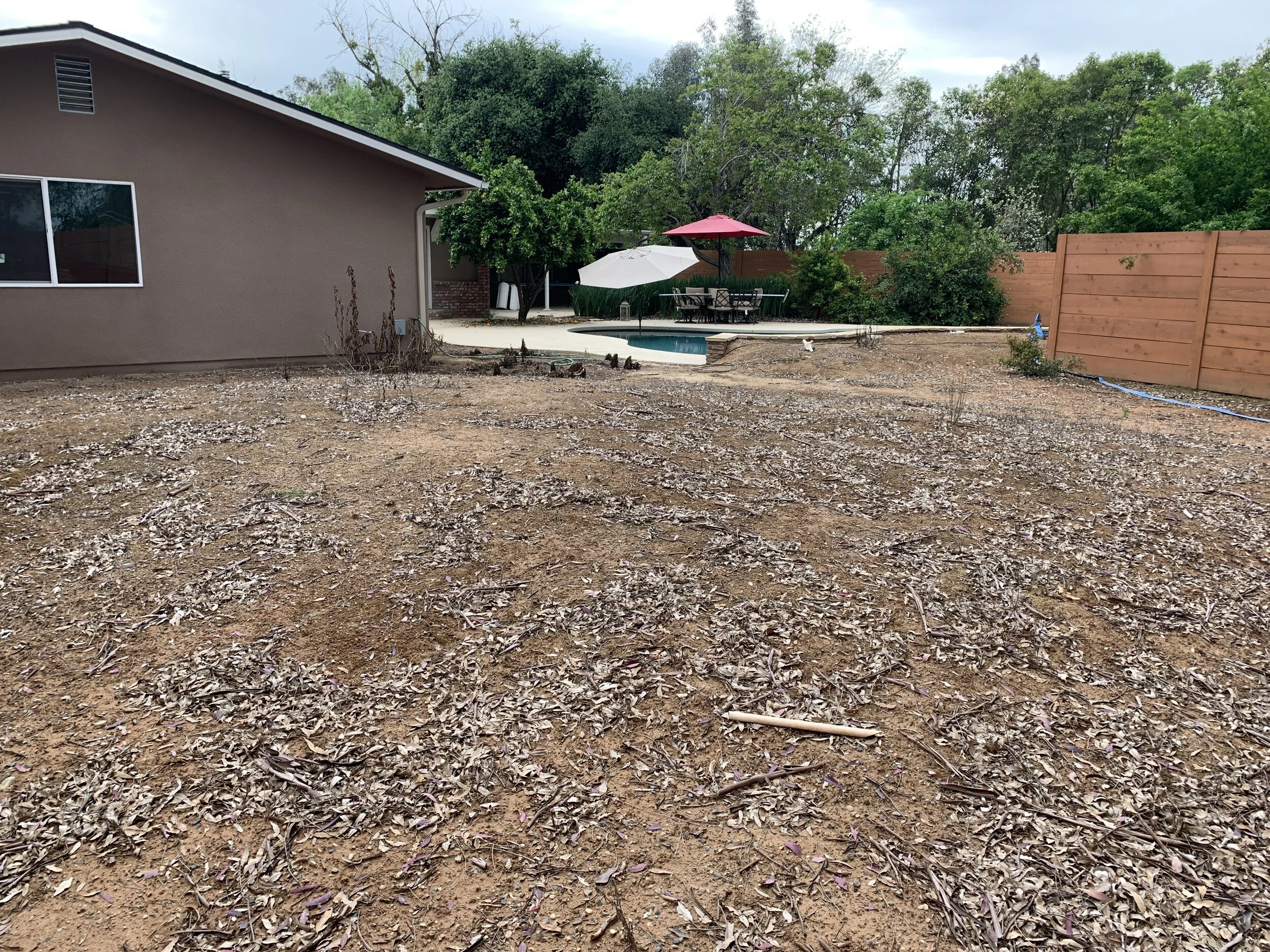 Photo Apr 20, 08 01 53.jpg