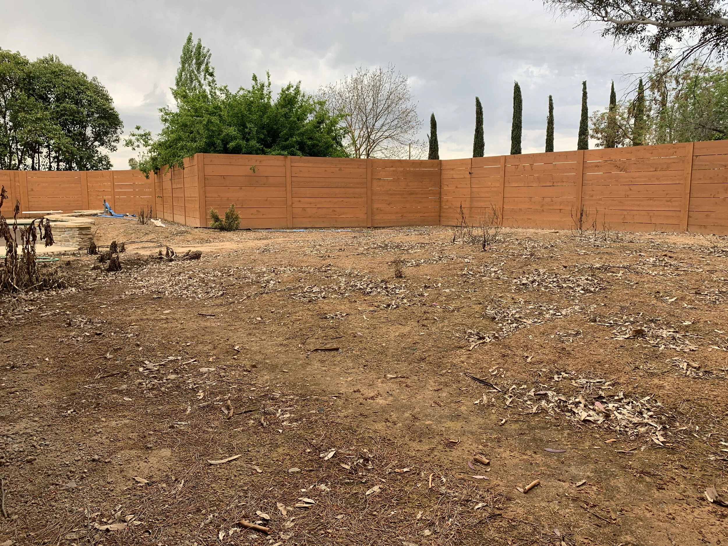 Photo Apr 20, 08 01 38.jpg