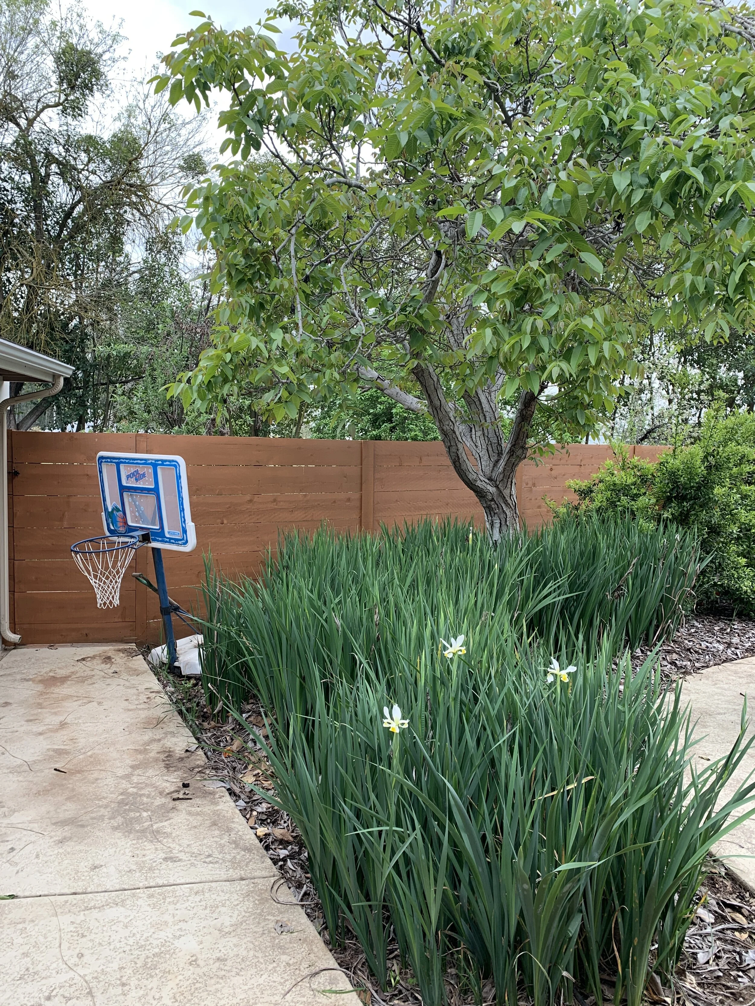 Photo Apr 20, 08 27 37.jpg