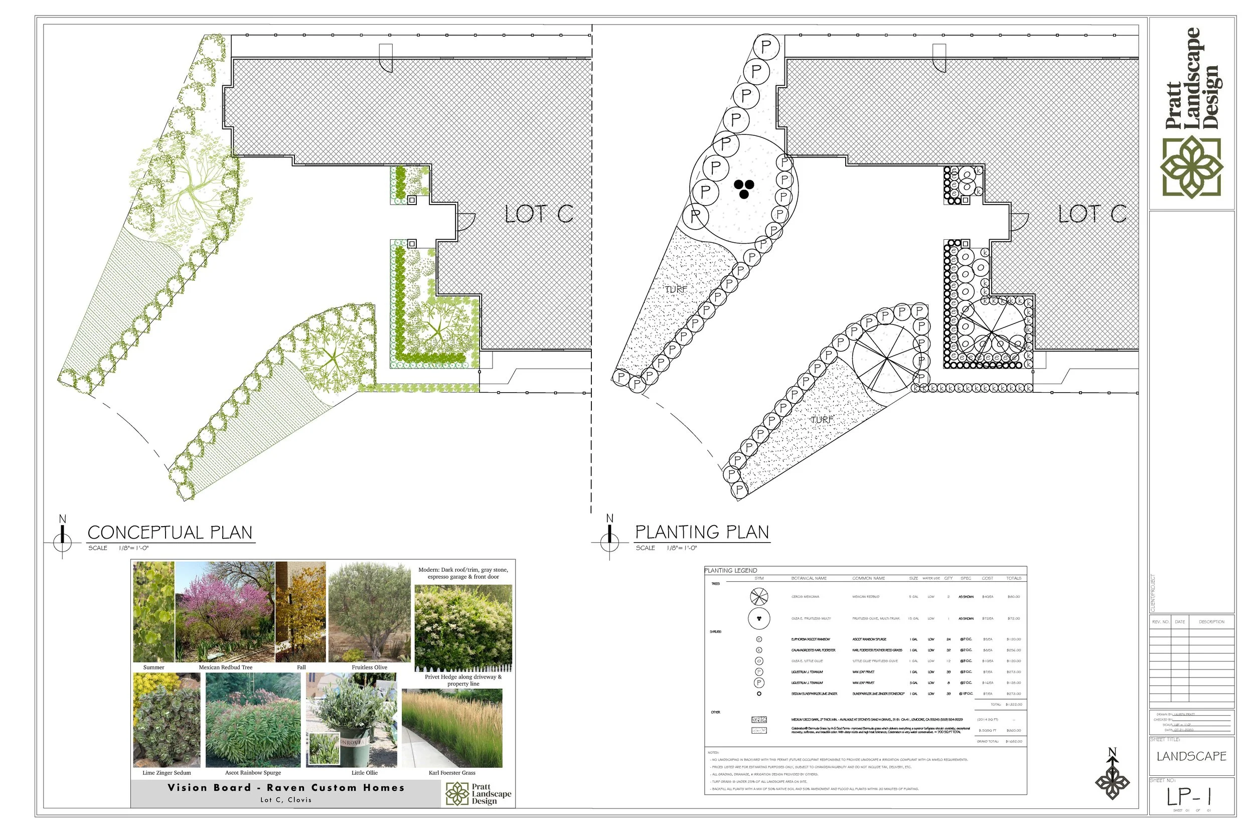 Raven Lot C Plan Concept.jpg