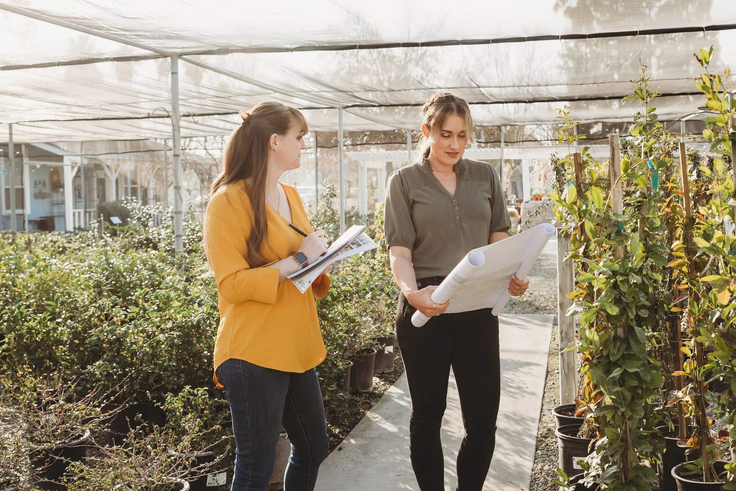 Consultation Time vs. Plans