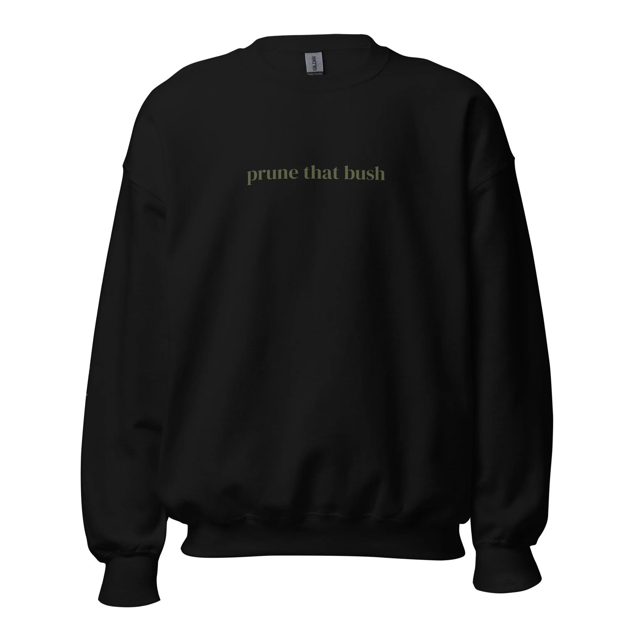 unisex-crew-neck-sweatshirt-black-front-6617169636805.jpg