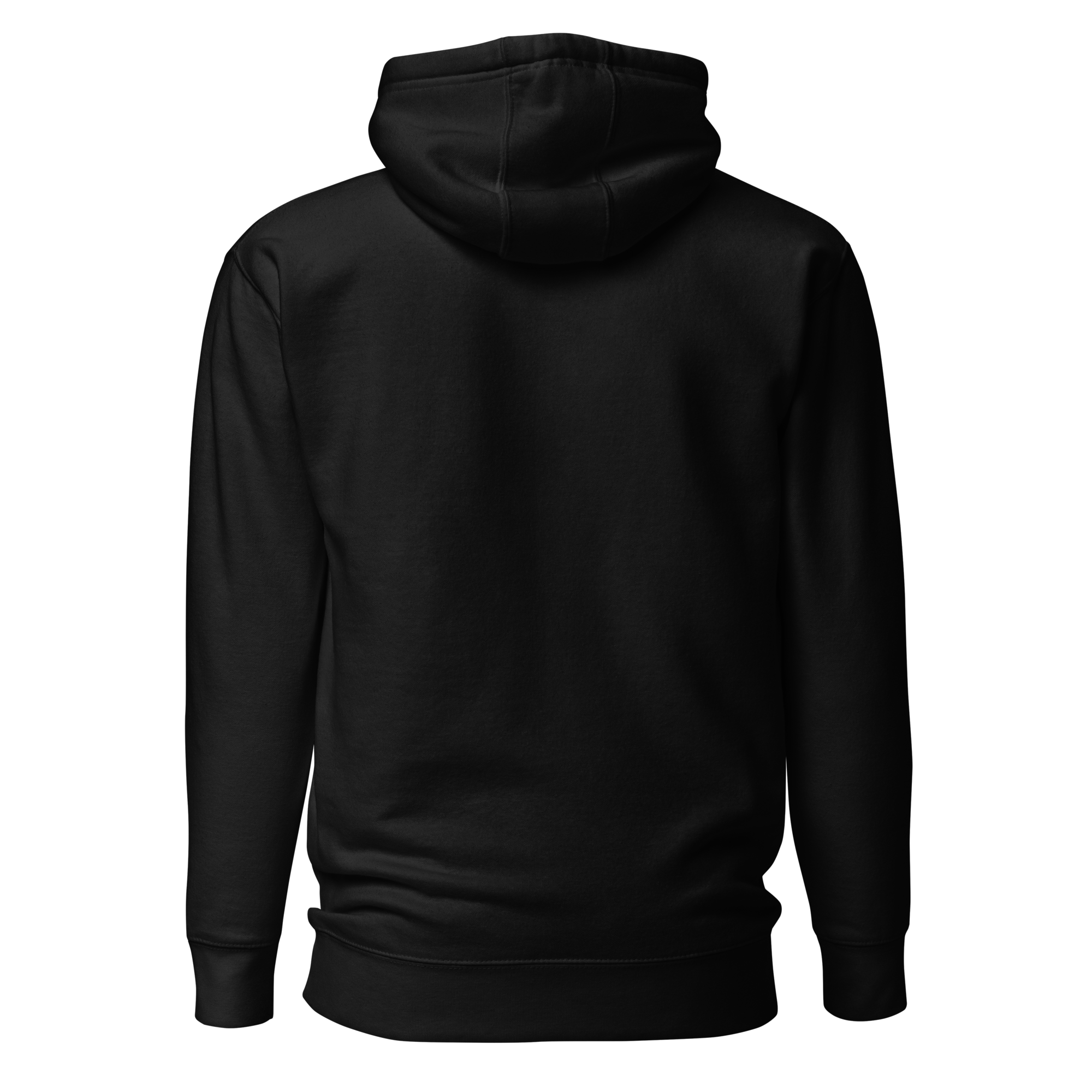 unisex-premium-hoodie-black-back-6654f8d291515.png