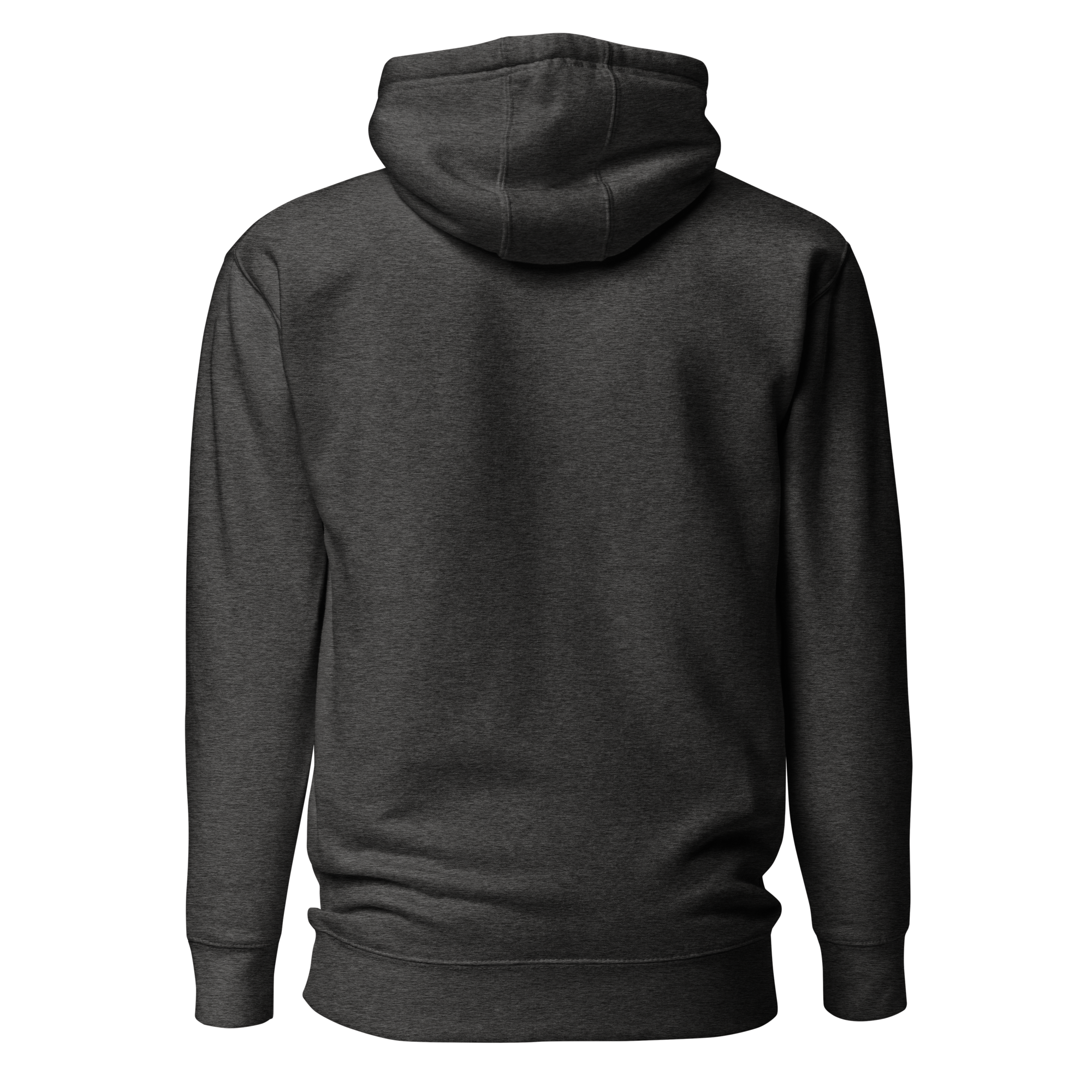 unisex-premium-hoodie-charcoal-heather-back-6654f8d29441f.png