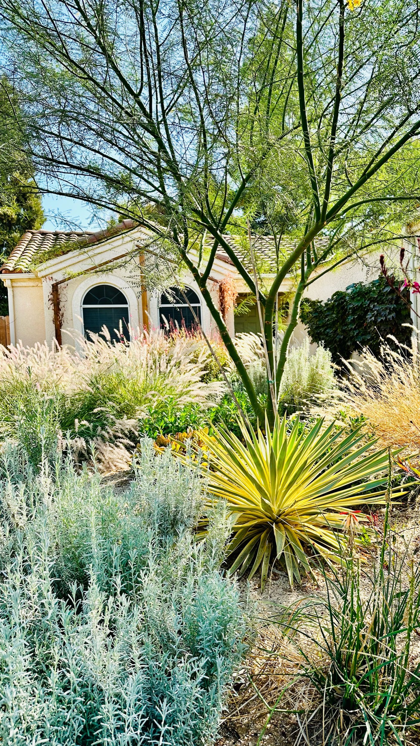 Pratt LD Plants, round 2