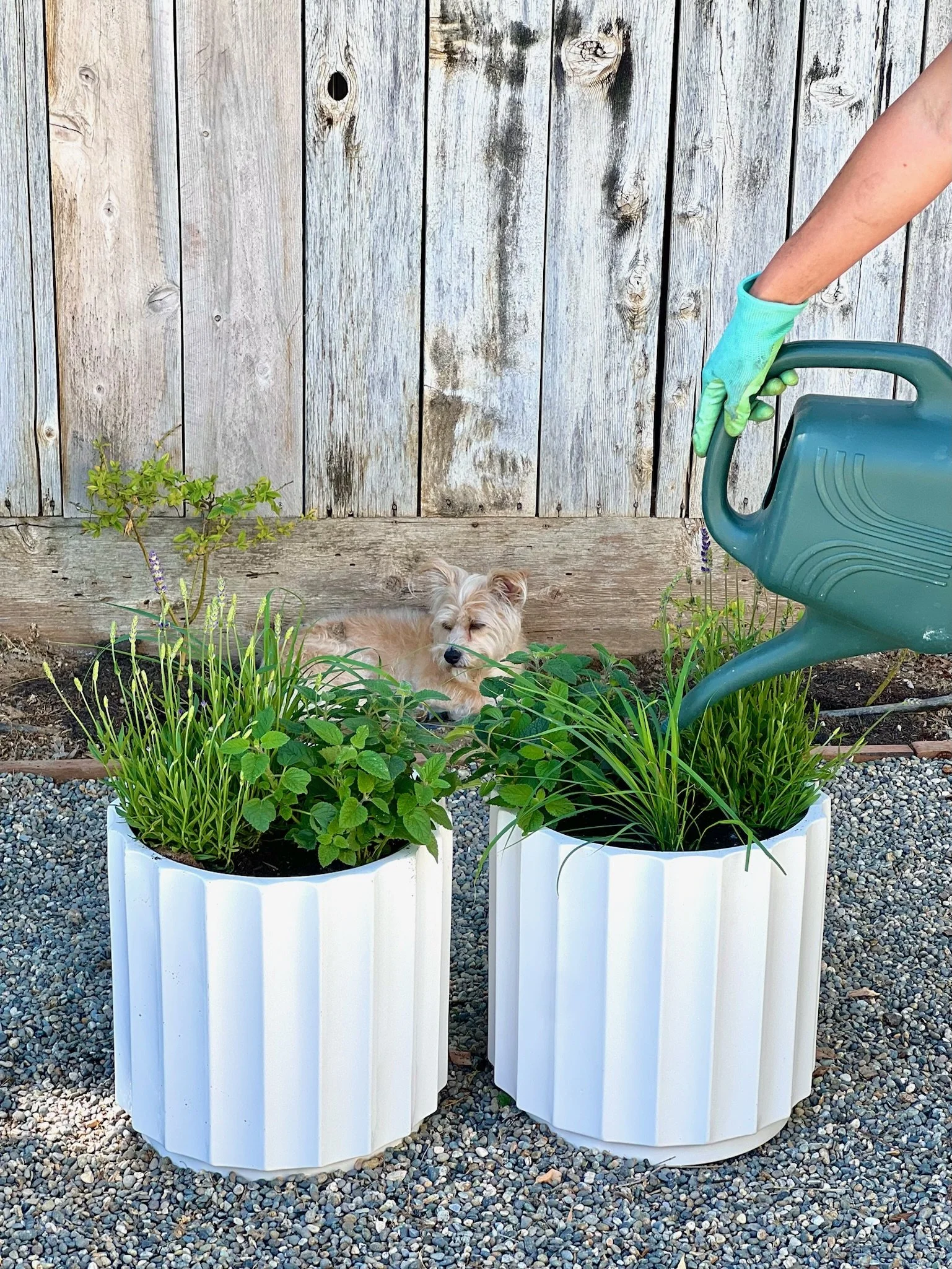 Summer Patio Planters