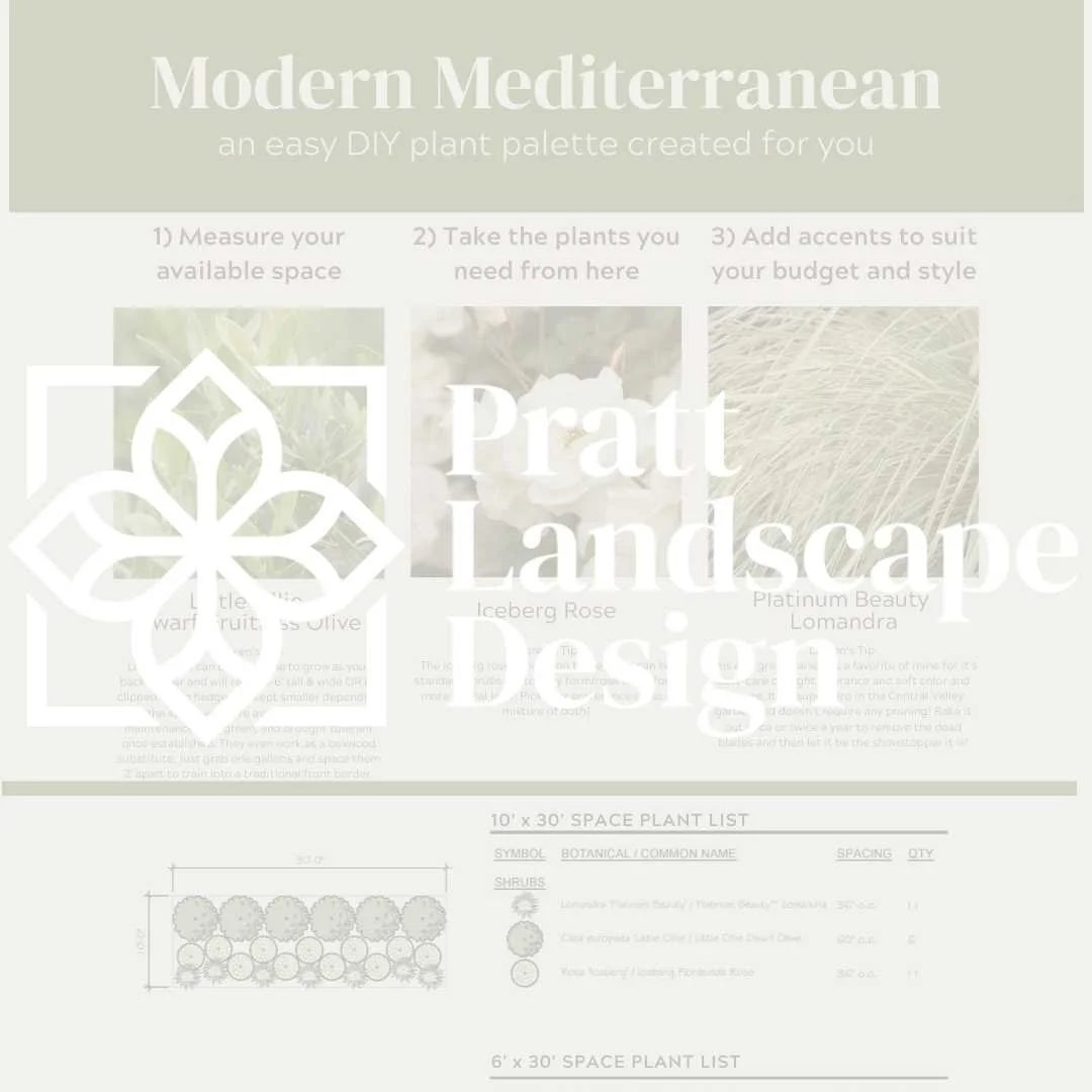 Modern Mediterranean DIY Plant Palette