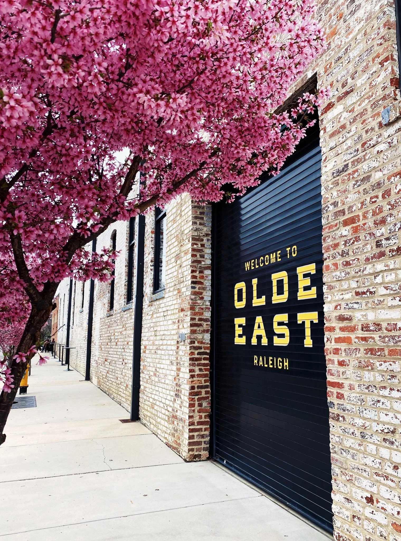 LIVE MUSIC VENUE IN DOWNTOWN RALEIGH