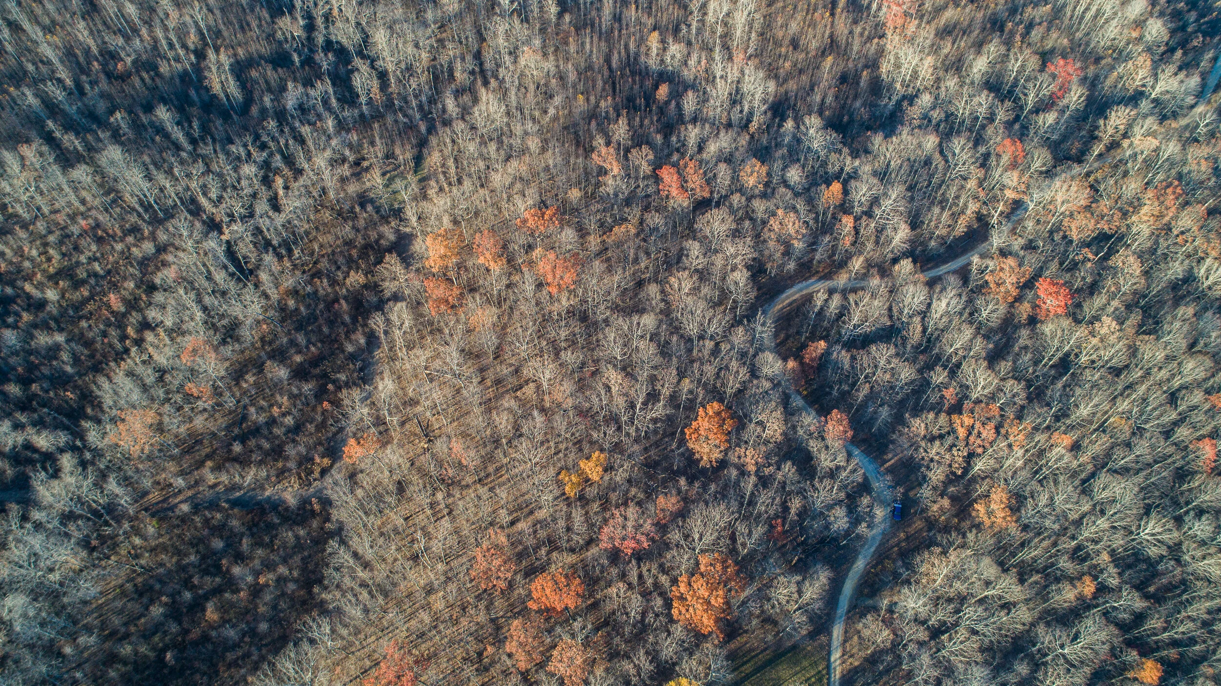 PUTMAN MOUNTAIN-1.jpg