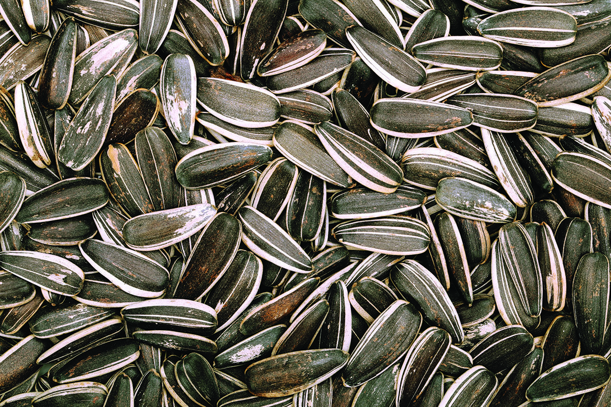 iStock-945073616.jpg