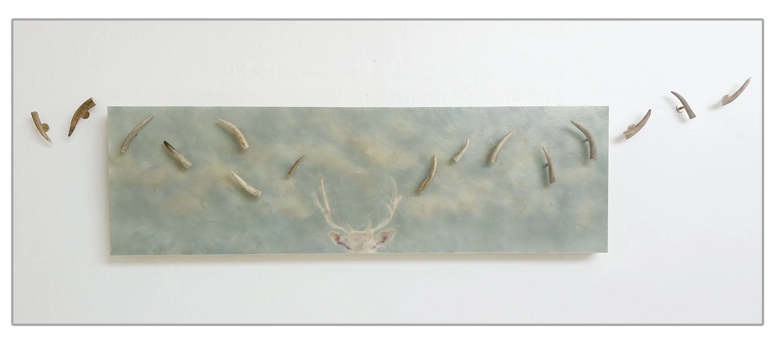 What Can Be Shed (install)