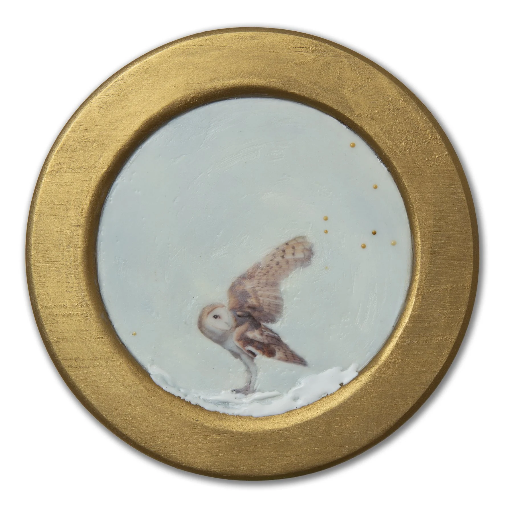 Collected No. 017 (owl).24342.20260917-4.jpg