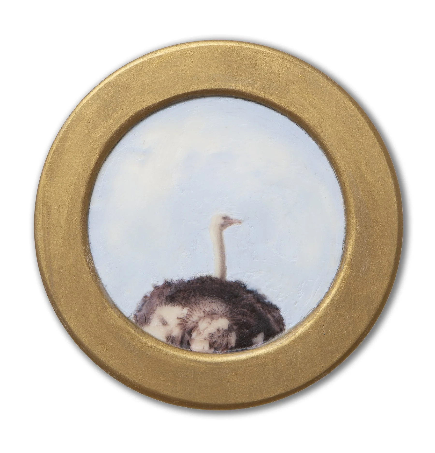 Collected No. 018 (ostrich).24343.20260918-3.jpg