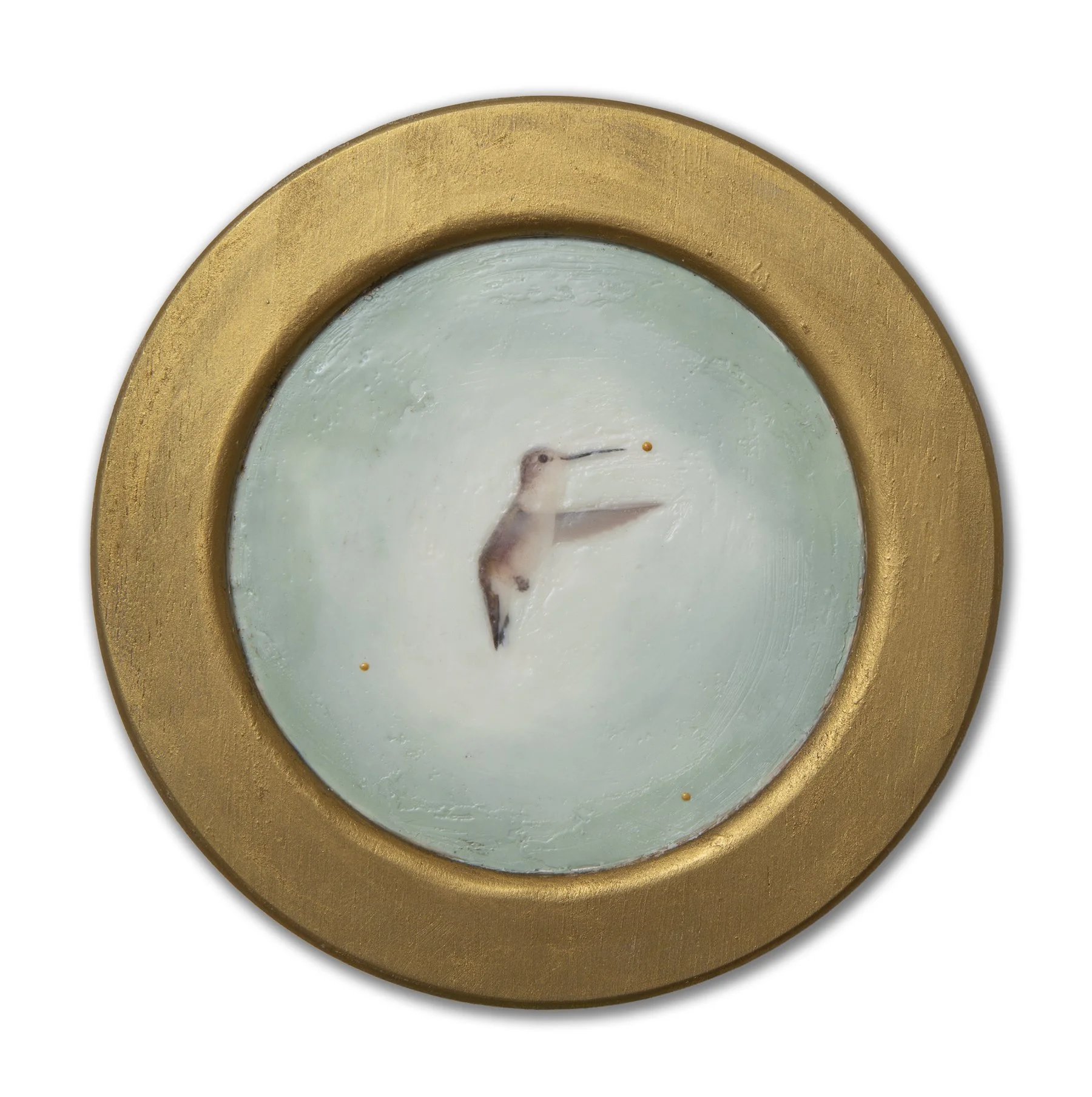 Collected No.004 (Hummingbird).24329.20260904-3.jpg