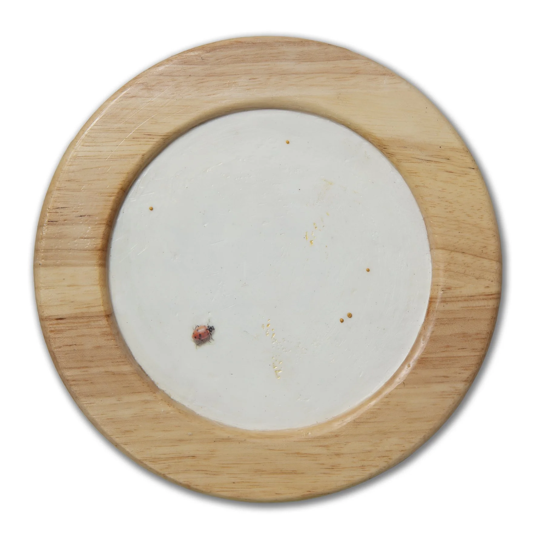 Collected No.012 (ladybug).24337.20260912-5.jpg