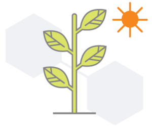 Plant.png
